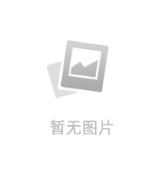 张毅（教授 团队负责人）